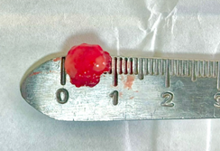 Imagen que contiene interior, tabla, par, tablero

Descripción generada automáticamente